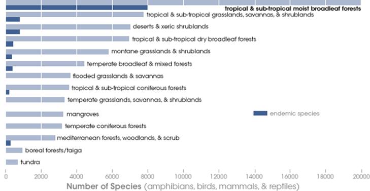 Graph showing number of species in each of the Earth's 14 biomes.