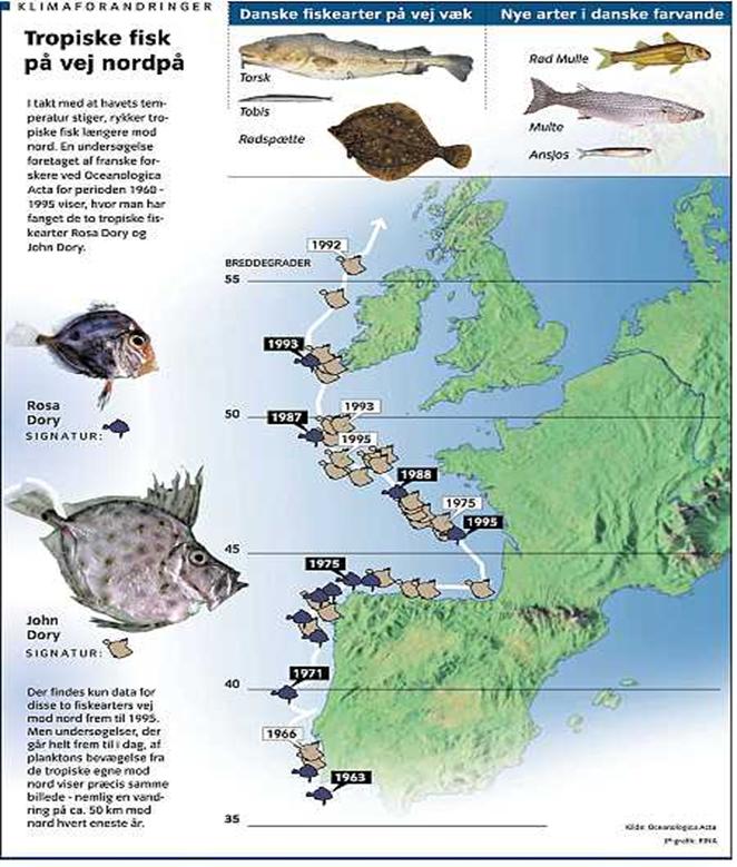 Fish distribution from jp