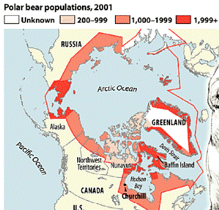 Polar Bear Population Status Polar Bear Population Status
