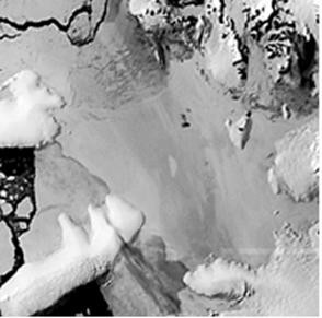 Wilkins: 28 January 1996