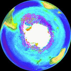 Krill distribution on a NASA SeaWIFS image  the main concentrations are in the Scotia Sea at the Antarctic Peninsula