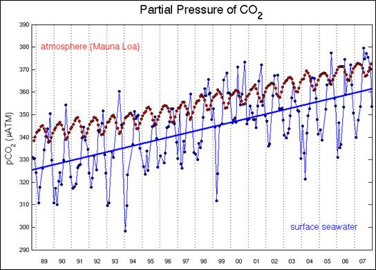 mauna_loa_co2_yearly_var.png